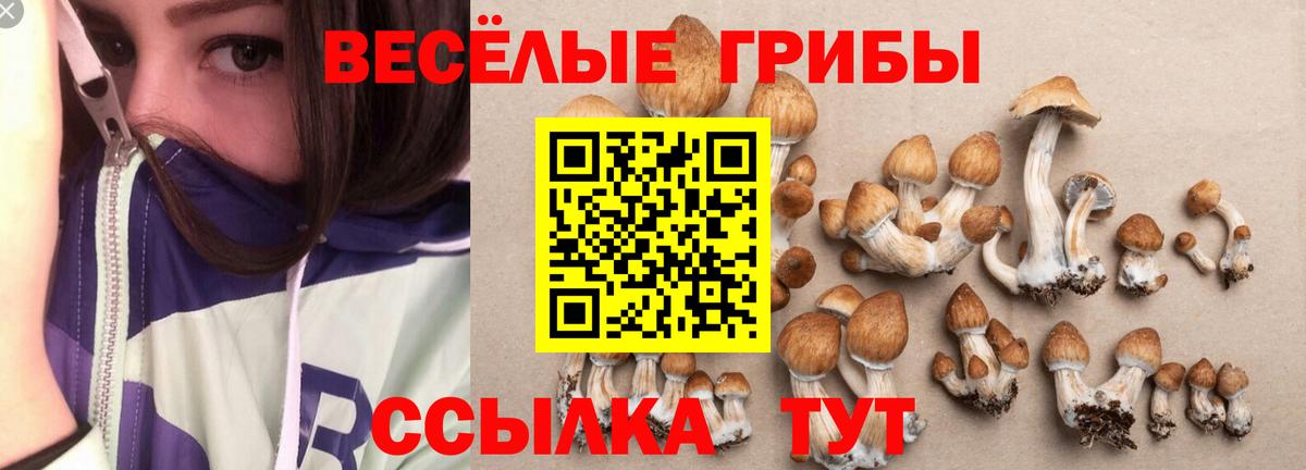 Псилоцибиновые грибы GOLDEN TEACHER Наро-Фоминск